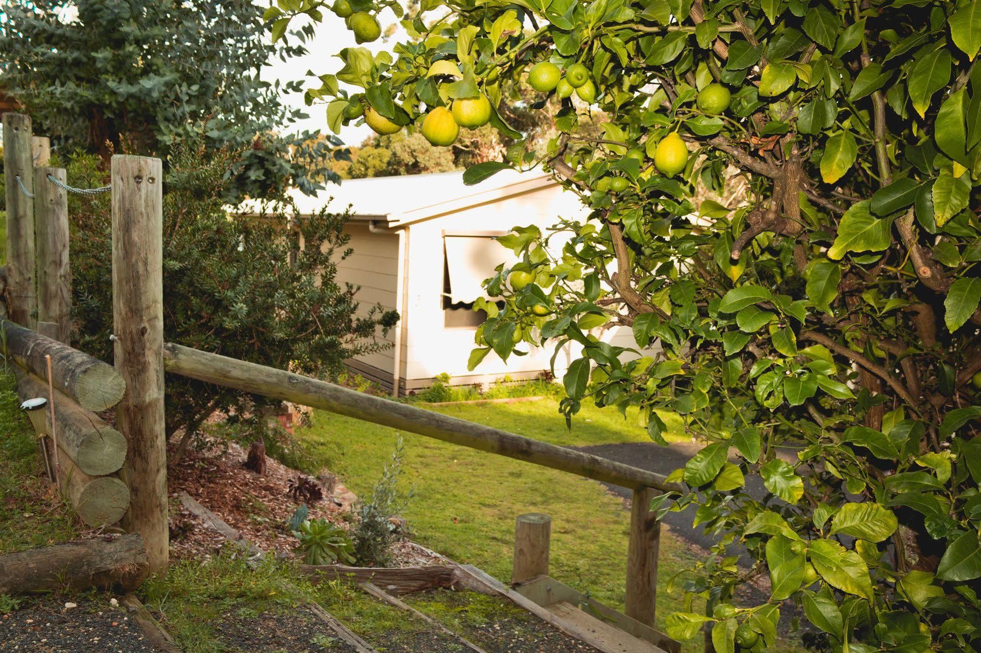 Jetty Road Retreat Daire Nungurner Dış mekan fotoğraf